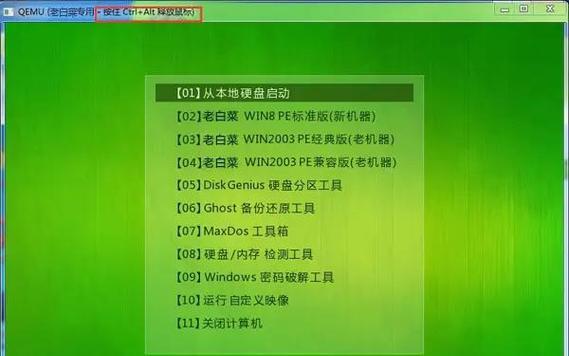 U盘安装系统教程（使用U盘快速安装系统的详细步骤及注意事项）