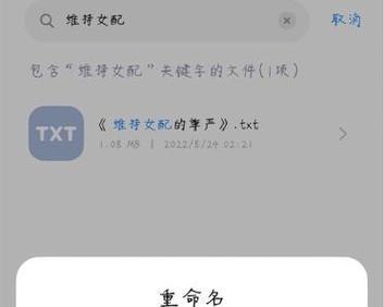 Kindle如何阅读txt文档（Kindle通过转换格式优化阅读体验）