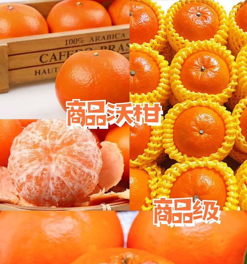 以小金优选如何帮助消费者实现理财增值（发现理财新选择，小金优选让财富生活更美好）