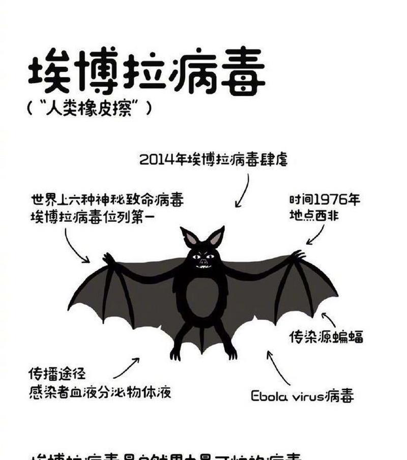 基因注入与人类进化（探索人类基因改造的伦理和科学挑战）