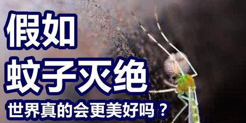 灭绝蚊子的方法和措施