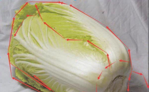 用大白菜系统分区轻松管理你的电脑（学习大白菜系统分区教程，提升你的计算机使用效率）