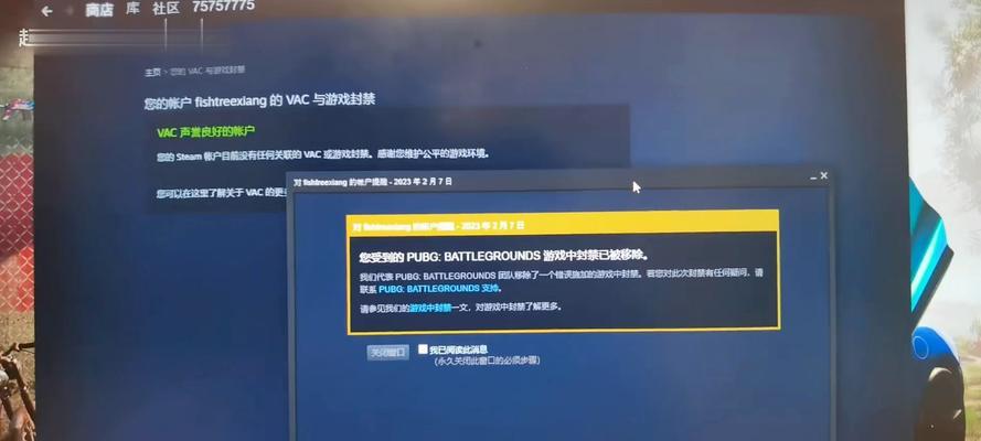 解决电脑PUBG显示错误的有效方法（排查和修复常见的电脑PUBG显示错误，保证游戏畅玩）