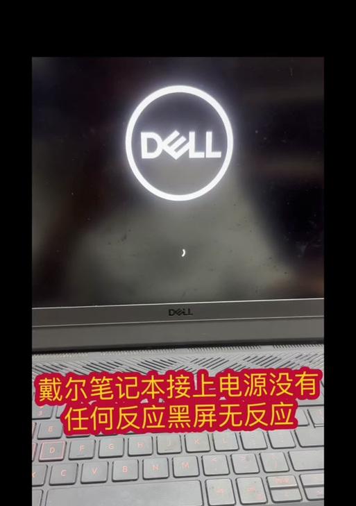 戴尔电脑显示更新错误解决方案（解决戴尔电脑显示更新错误的有效方法）